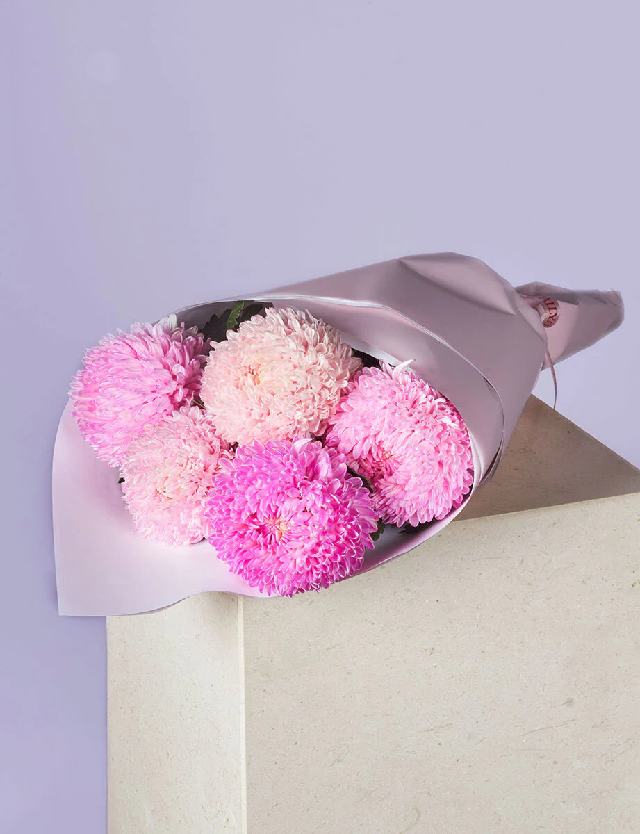 Lucky Dip Chrysanthemum Disbuds - Image 5