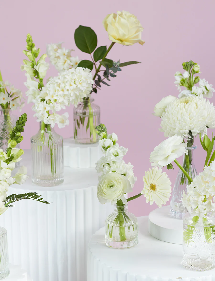Bud Vase Package - Image 10