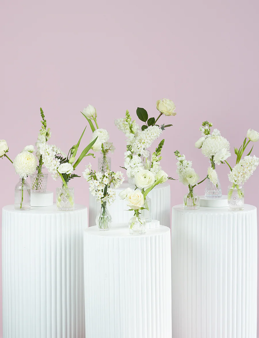 Bud Vase Package - Image 12