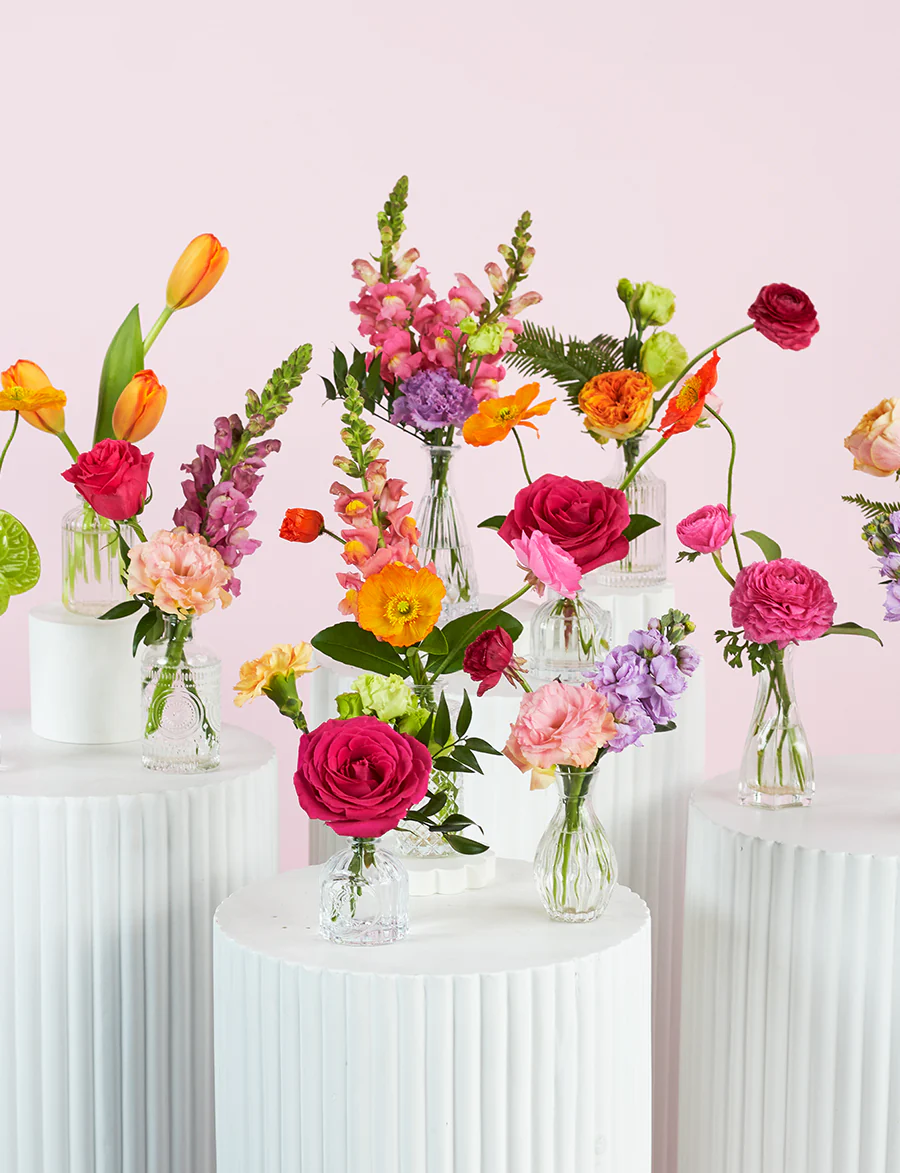 Bud Vase Package - Image 4