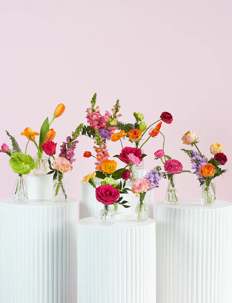 Bud Vase Package - Image 6