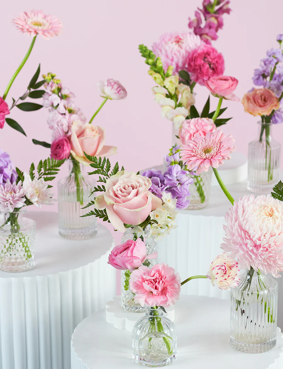 Bud Vase Package - Image 9