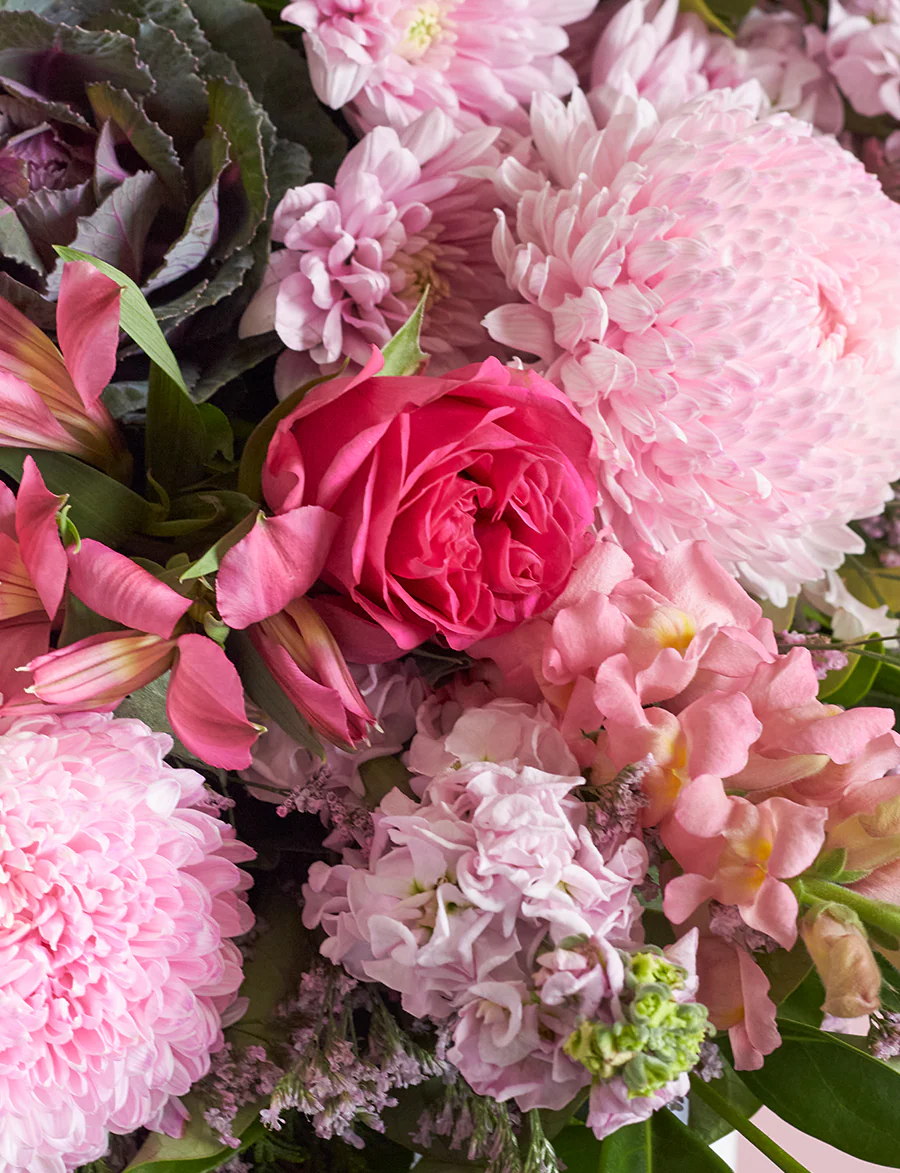 Extra Large Colour + a vase! - Image 3