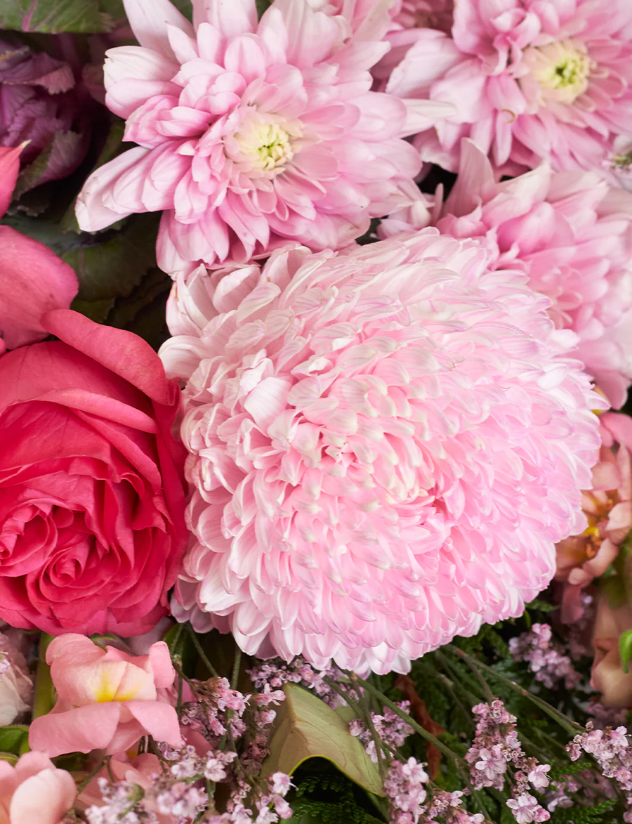 Large Colour + a vase! - Image 3