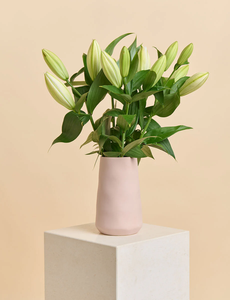 Oriental Lilies - Image 6