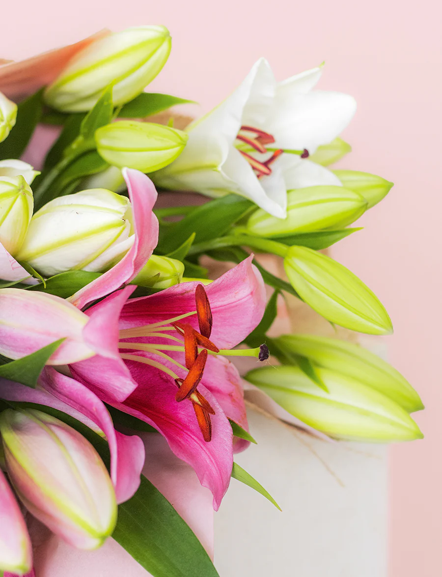 Oriental Lilies + a vase! - Image 4