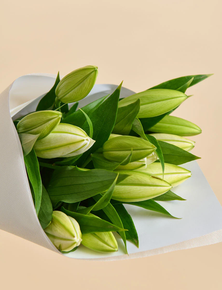 Oriental Lilies - Image 5