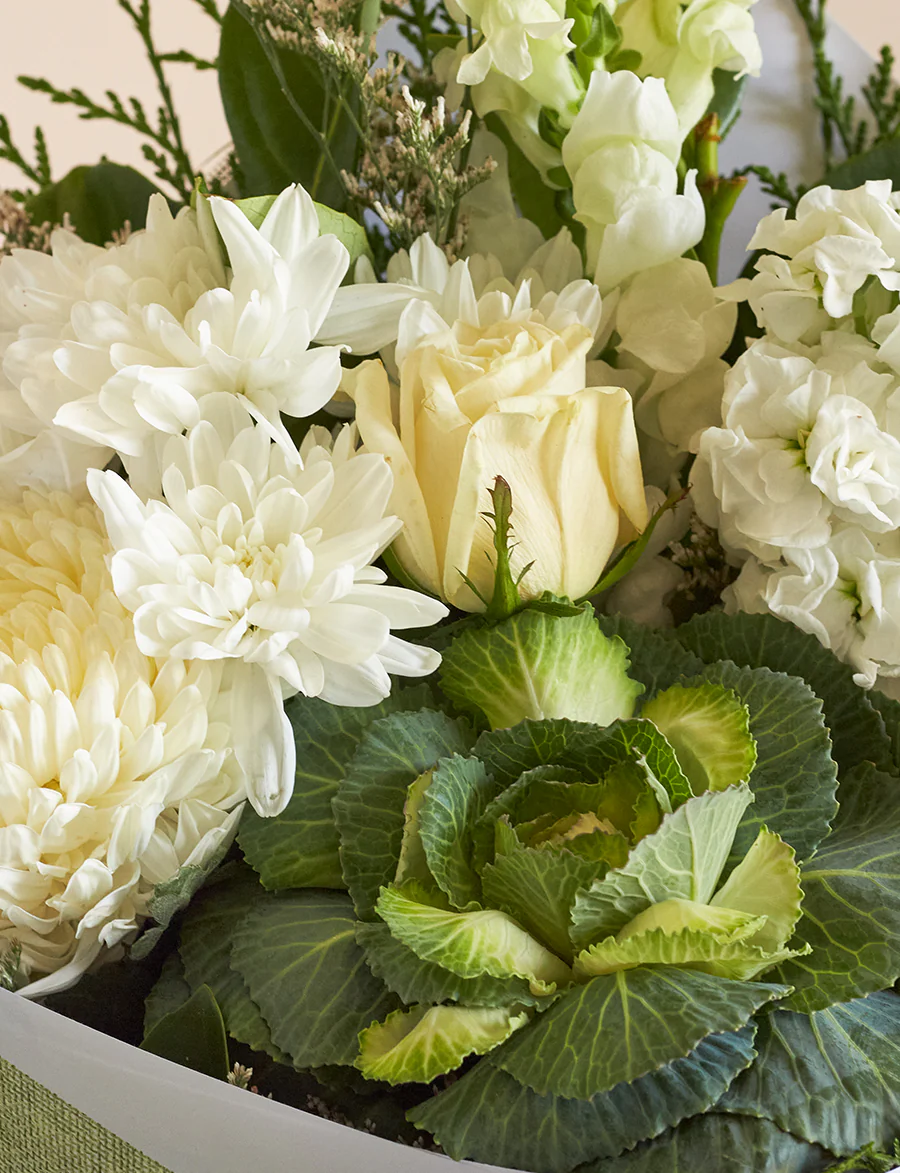 Medium White + a vase! - Image 4