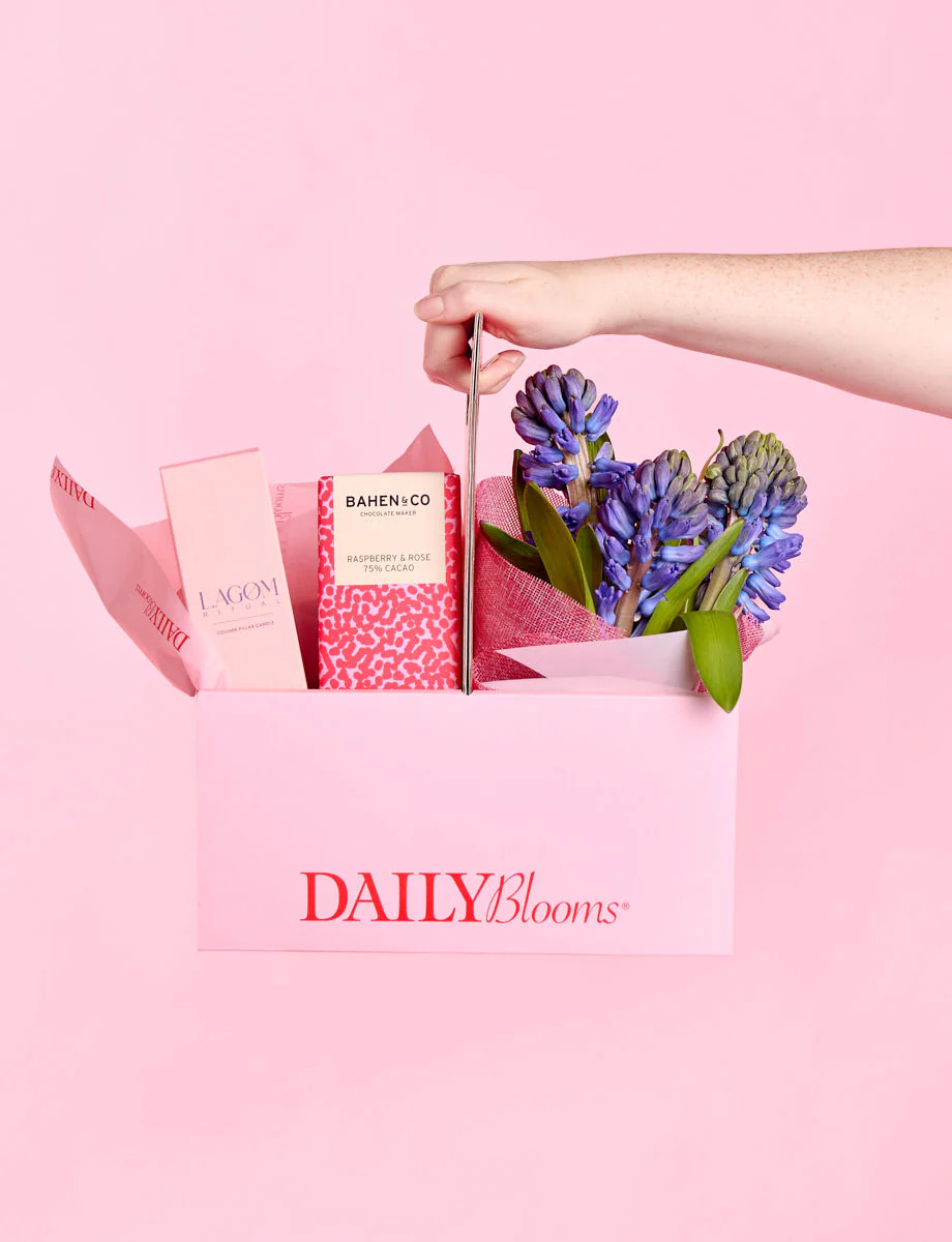 Mini Hyacinth Plant Bundle - Image 4