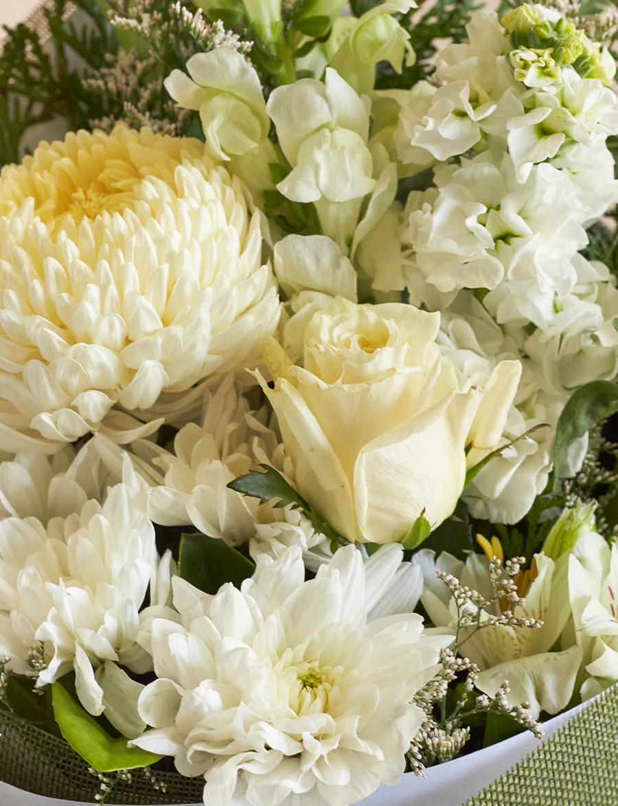Small White + a vase! - Image 4
